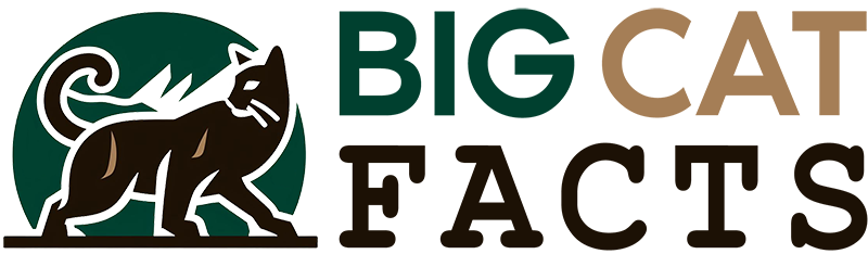big cat facts logo