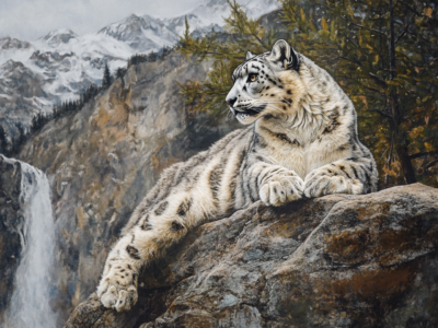 Snow leopard resting on a rock, with mountains and a waterfall behind it.